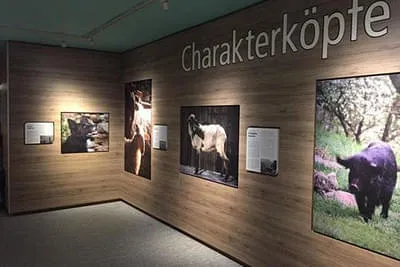 Haus der Natur Salzburg Bild 2
